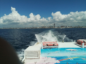 近くに意外と楽しめるところが。。。